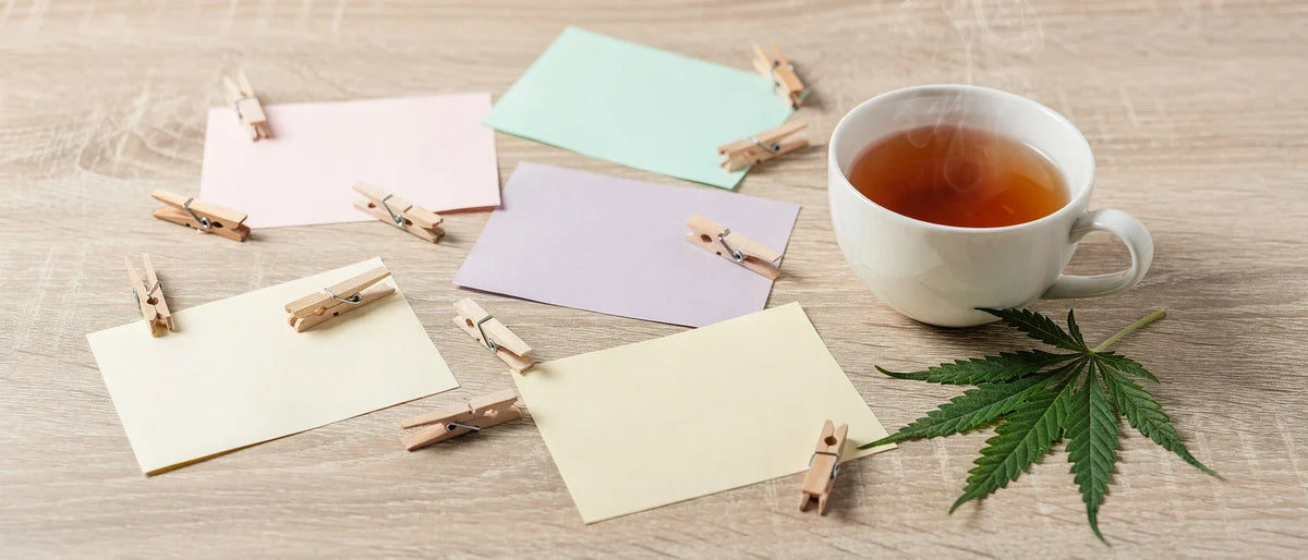 Superior Blend Erfahrungen: leere Notizkarten und eine Tasse auf einem hellen Holztisch