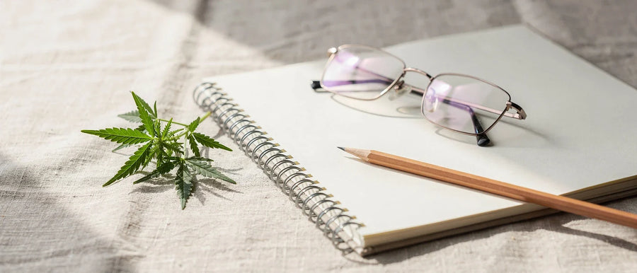 Superior Blend Wirkung: aufgeschlagenes Notizbuch mit Stift und Brille neben einem Hanfzweig