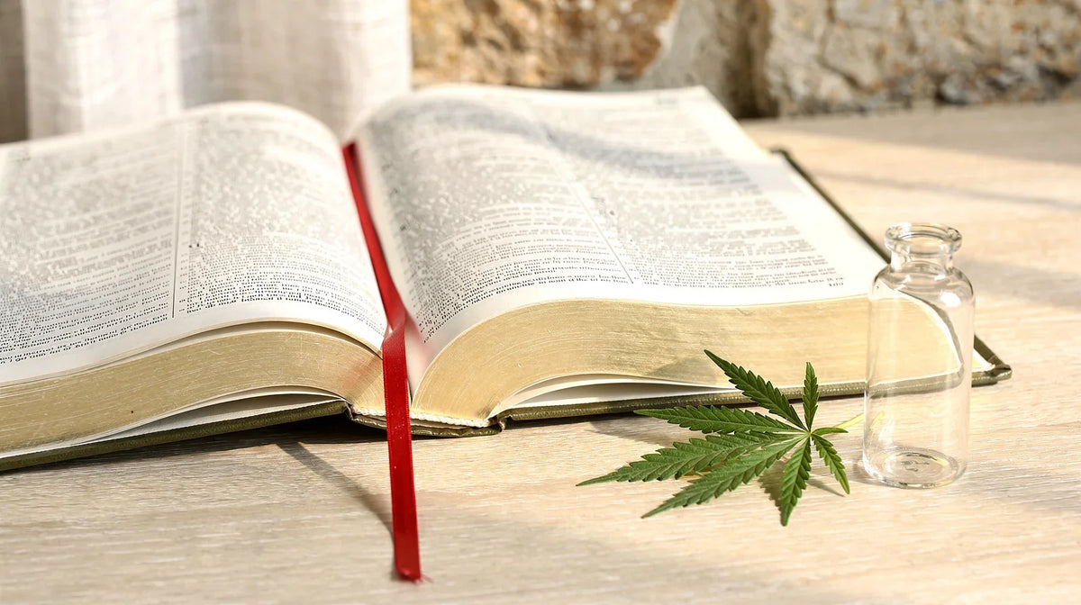 THCV legal: aufgeschlagenes Gesetzbuch mit Lesezeichen, leeres Glasfläschchen und Hanfblatt auf hellem Holztisch
