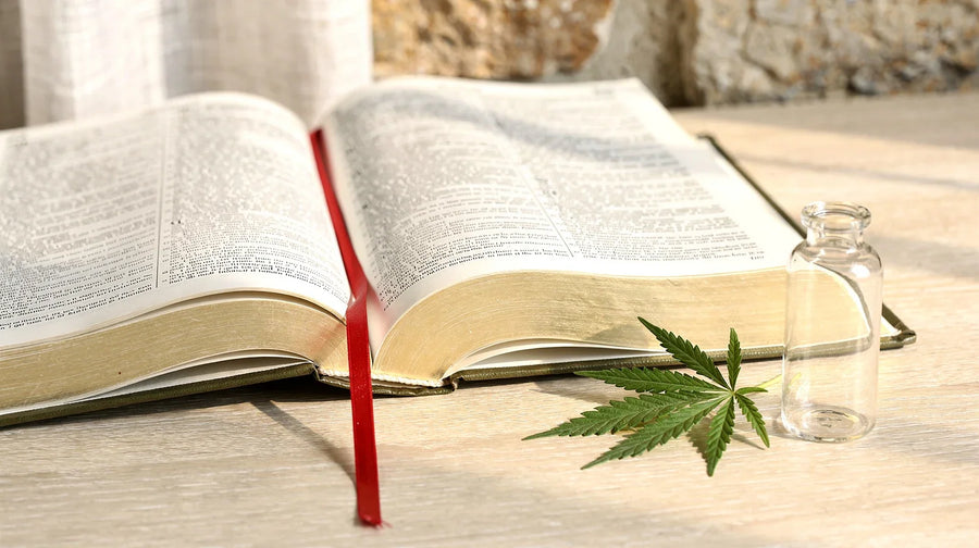 THCV legal: aufgeschlagenes Gesetzbuch mit Lesezeichen, leeres Glasfläschchen und Hanfblatt auf hellem Holztisch